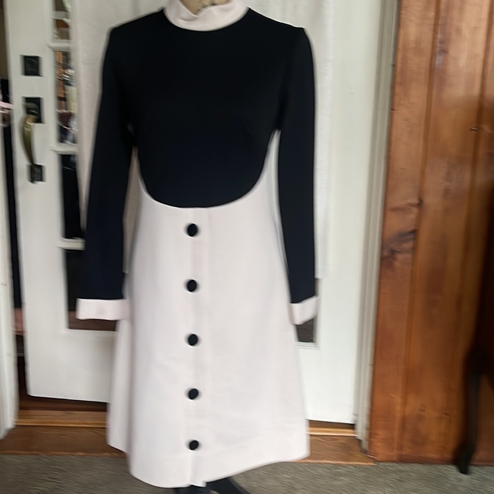 CAROL CRAIG 1970’s A-Line Mod Vintage Sz 12 - Picture 2 of 15